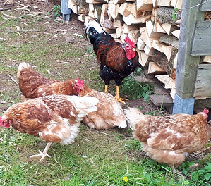 20190518_103557 (2).jpg