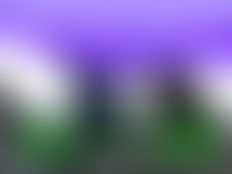 Study Shows Effectiveness of Non-Surgical Spinal Decompression Therapy