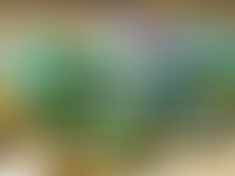 Avoid Spine Surgery Risks with Non-Surgical Spinal Decompression in Cary, NC