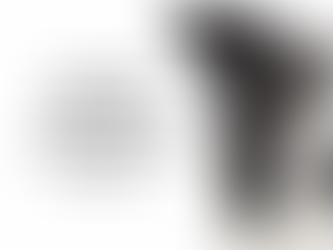 Training and Caring for Your ESA: Ensuring Comfort and Good Behavior