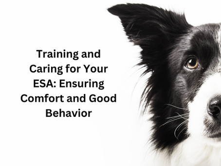 Training and Caring for Your ESA: Ensuring Comfort and Good Behavior