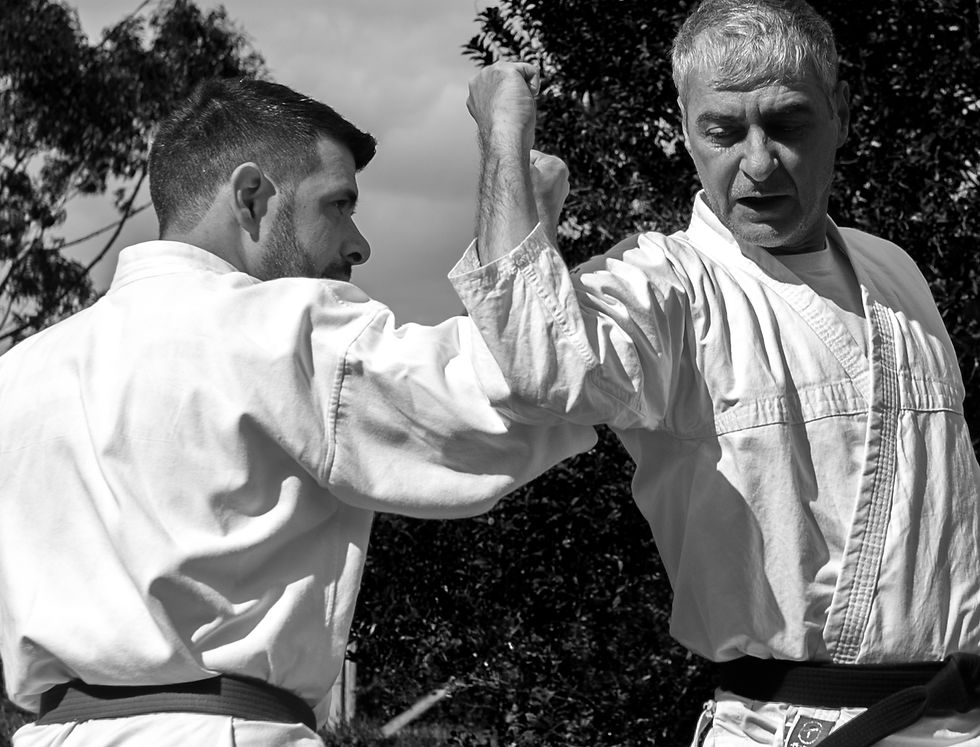 Artes Marciais