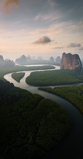 Vue aérienne d’un paysage tropical en Thaïlande photographié par drone