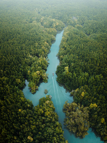 Mangrove et rivière tropicale en Thaïlande vues par drone
