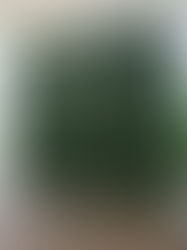 Summer Photo Booth Predictions