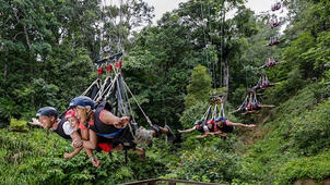 Jungle Swing