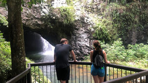 Natural Bridge + Springbrook