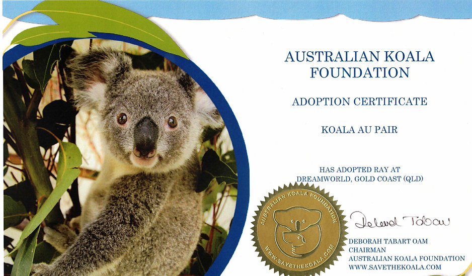 Koala Certificate.jpeg