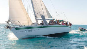 Prima