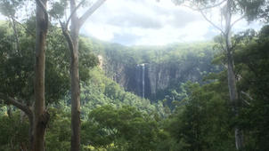 Byron Bay Hinterland Tour