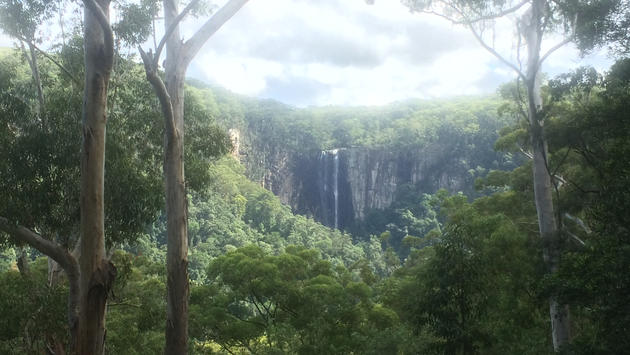 Byron Bay Hinterland Tour