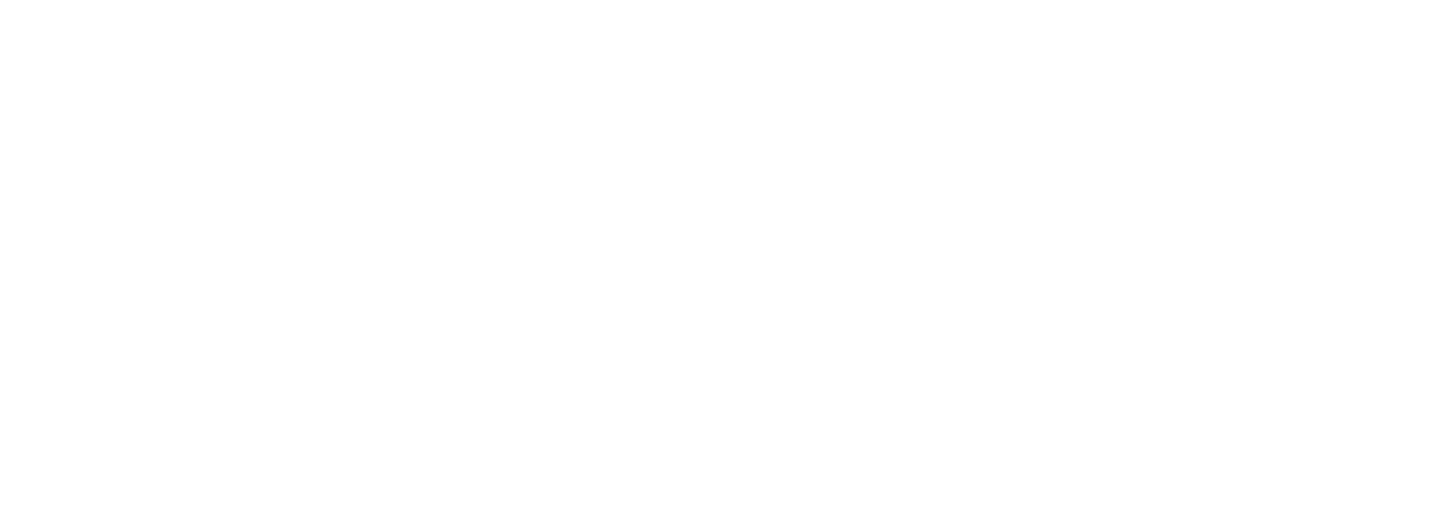 CDE Lightband Logo - white.png