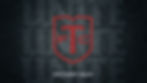 2020 Toronto FC Playoffs (Unity)