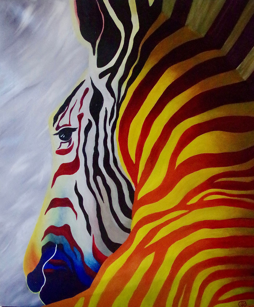 zebre de lumière 4