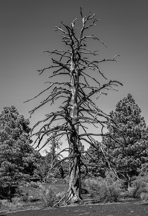 Philippe-Afrigan-Coach-Professionnel-Mon