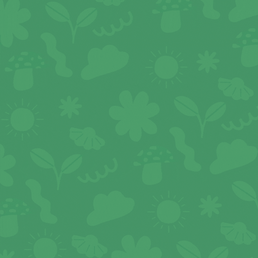 Wild things • indoor • playground • (1).gif