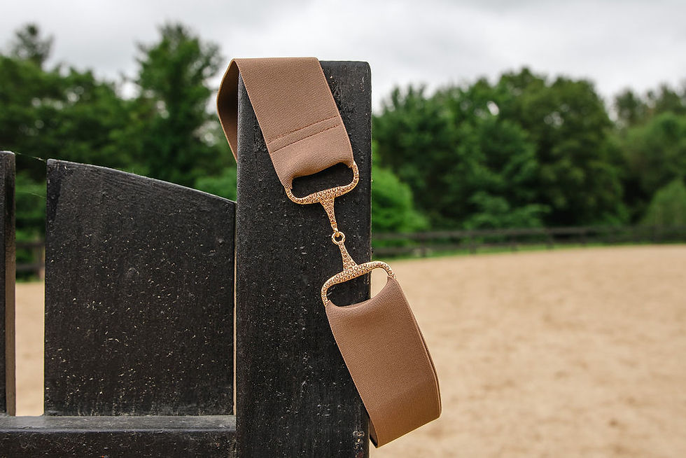 Thumbnail: tan elastic gold rhinestone belt, equestrian clothing and accessories