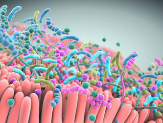 Study finds relationship between gut microbiome and fertility
