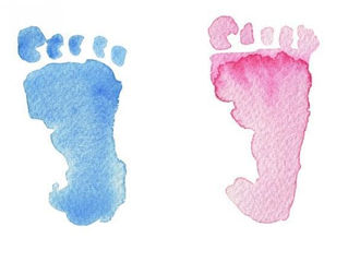 Does having boys or girls run in families?