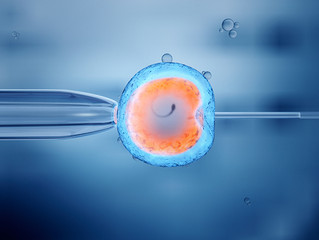 More than 77 Thousand Babies Born from IVF in 2019