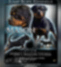 Mason stud banner.jpg