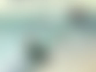 Book Revew: FOREVER JACK by Natasha Boyd