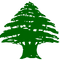 kisspng-flag-of-lebanon-phoenicia-cedrus