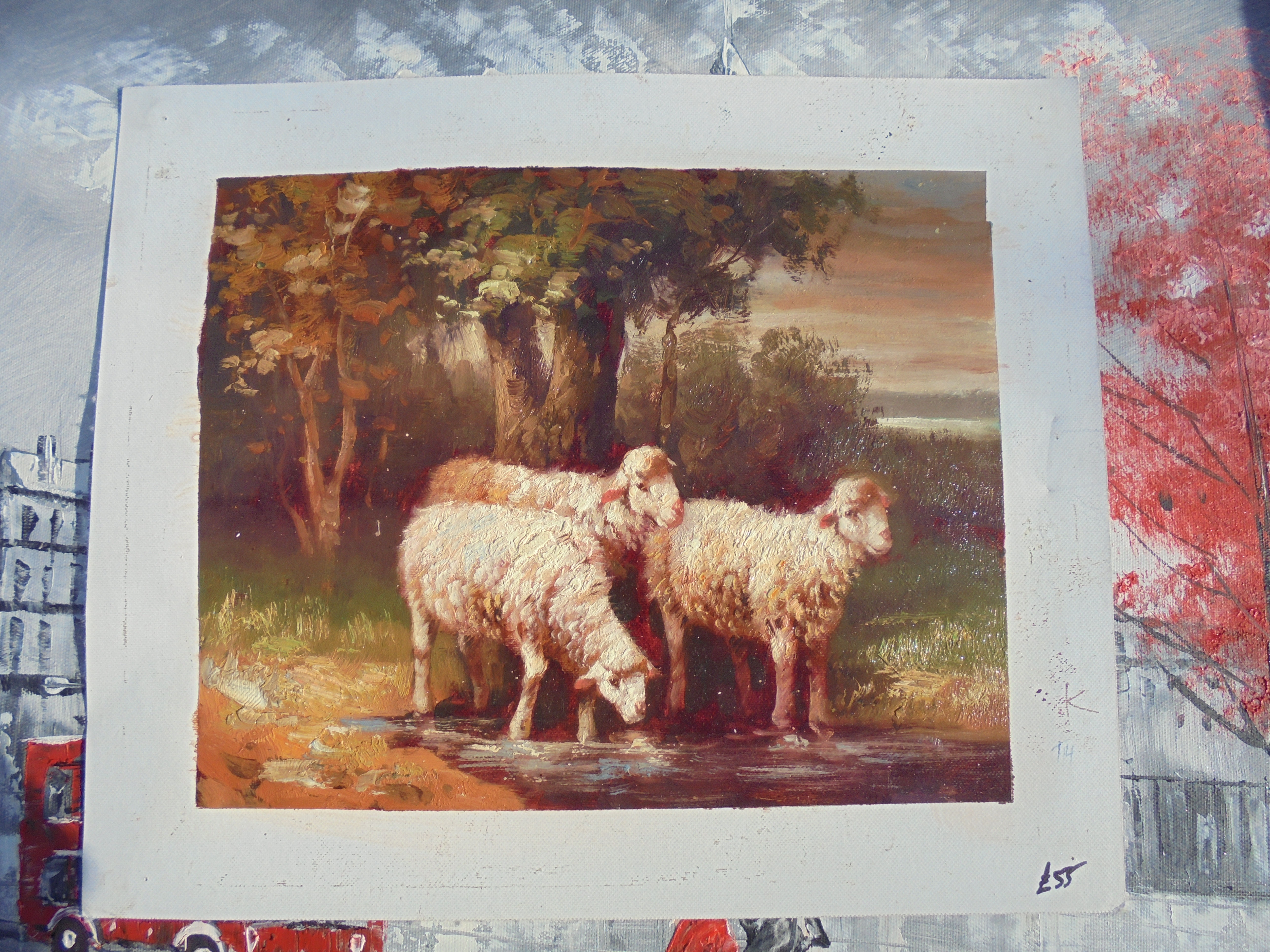 Sheep