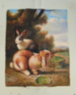 Rabbits