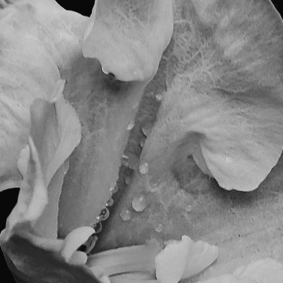 op. 20210831_210507.jpg