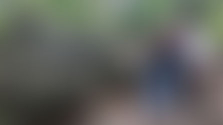 team building en forêt de fontainebleau, découvrir les rochers