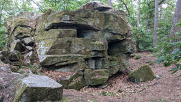 Team building entreprise en foret de Fontainebleau plein air