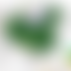 自由地區「罵叛國賊無罪」的兩岸網路論戰