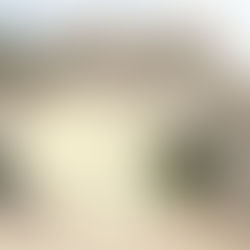 安東簡介（今被共匪裁撤）