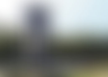 二‧二八和平紀念日（臺灣地區專屬）