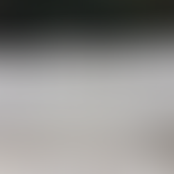 五‧一九白色恐怖記憶日（臺灣地區專屬）