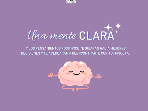 Tu Bienestar: Clave para Encontrar a tu Mascota Perdida