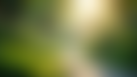 Iamchanti's Holistic Wellness Approach: A Symphony of Mind, Body, and Soul