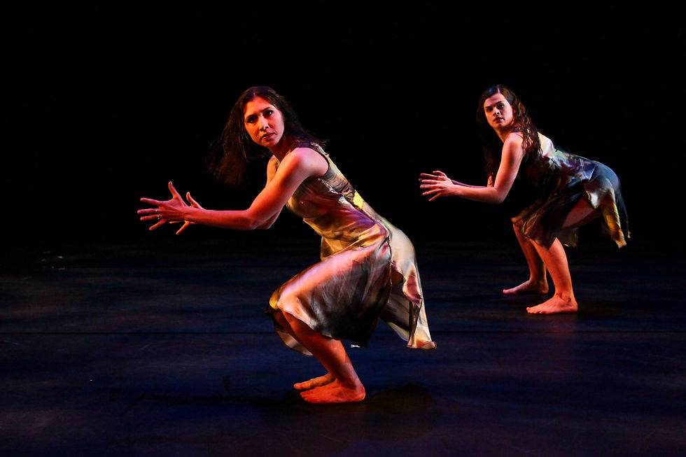 Anna & Anna's Dance Thesis