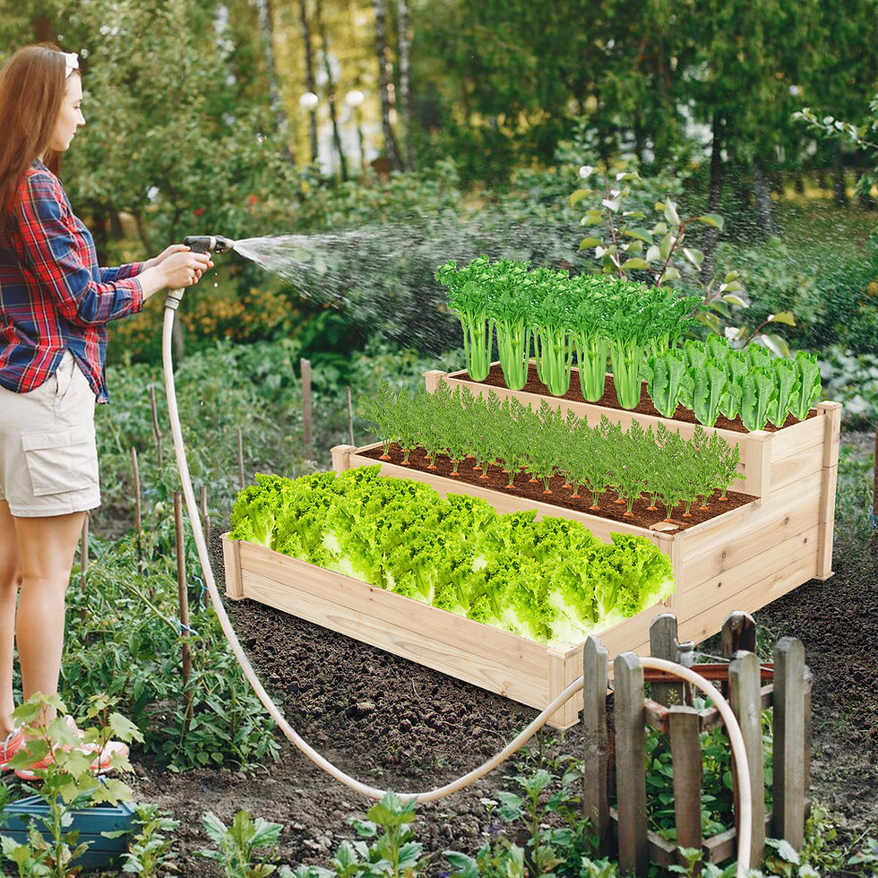 Thumbnail: 48.6 x 48.6 x 21in Raised Garden Bed Horticulture Outdoor Elevated Flower Box Ti