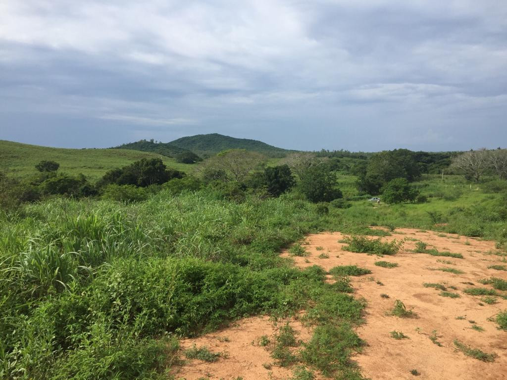 TERRENOS CON EXCELENTE UBICACIÓN A SOLO 5 MINUTOS CAMINO A PLAYA LARGA!!!
LOTES DE 200 M2:
LOTE #8 LOTE #9
PRECIO: $350,000.00 MXN PRECIO: $300,000.00 MXN
- SE ENTREGA CON POZO DE AGUA - LUZ BIFÁSICA
LOTE #10 LOTE #11
PRECIO: $300,000.00 MXN PRECIO: $300,000.00 MXN
- LUZ BIFÁSICA - LUZ BIFÁSICA
GRAN OPORTUNIDAD PARA INVERTIR Y CREAR TU PATRIMONIO!!!
TRATO SERIO
____________________
LAND WITH EXCELLENT LOCATION ONLY 5 MINUTES ROAD TO PLAYA LARGA!!!
LAND LOTS OF 200 M2:
LOT # 8 LOT # 9
PRICE: $ 350,000.00 MXN PRICE: $ 300,000.00 MXN
- DELIVERED WITH WATER WELL - Biphasic light
LOT # 10 LOT # 11
PRICE: $ 300,000.00 MXN PRICE: $ 300,000.00 MXN
- Biphasic light - Biphasic light
GREAT OPPORTUNITY TO INVEST AND CREATE YOUR HERITAGE!!!
SERIOUS TREATMENT