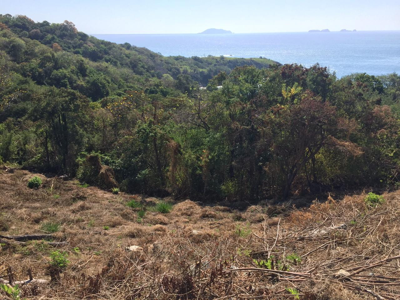 Adquiere éste excelente terreno de 658 MT2, ubicado a un costado de la CARRETERA ESCÉNICA PLAYA LA ROPA, Zihuatanejo, Guerrero, México: PROYECTO DE URBANIZACIÓN EN AVANCE!!!
LOTE 23, MANZANA 5, ZONA 5
MEDIDAS: 44.74 X 8.87 X 37.36 X 24.66
____________________
Acquire this excellent land lot of 658 M2, located next to the PLAYA LA ROPA SCENIC ROAD, Zihuatanejo, Guerrero, Mexico: SPECTACULAR URBANIZATION PROJECT IN PROGRESS !!!
MEASUREMENTS: 44.74 X 8.87 X 37.36 X 24.66