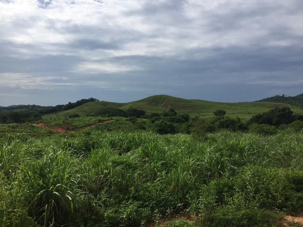 TERRENOS CON EXCELENTE UBICACIÓN A SOLO 5 MINUTOS CAMINO A PLAYA LARGA!!!
LOTES DE 200 M2:
LOTE #8 LOTE #9
PRECIO: $350,000.00 MXN PRECIO: $300,000.00 MXN
- SE ENTREGA CON POZO DE AGUA - LUZ BIFÁSICA
LOTE #10 LOTE #11
PRECIO: $300,000.00 MXN PRECIO: $300,000.00 MXN
- LUZ BIFÁSICA - LUZ BIFÁSICA
GRAN OPORTUNIDAD PARA INVERTIR Y CREAR TU PATRIMONIO!!!
TRATO SERIO
____________________
LAND WITH EXCELLENT LOCATION ONLY 5 MINUTES ROAD TO PLAYA LARGA!!!
LAND LOTS OF 200 M2:
LOT # 8 LOT # 9
PRICE: $ 350,000.00 MXN PRICE: $ 300,000.00 MXN
- DELIVERED WITH WATER WELL - Biphasic light
LOT # 10 LOT # 11
PRICE: $ 300,000.00 MXN PRICE: $ 300,000.00 MXN
- Biphasic light - Biphasic light
GREAT OPPORTUNITY TO INVEST AND CREATE YOUR HERITAGE!!!
SERIOUS TREATMENT