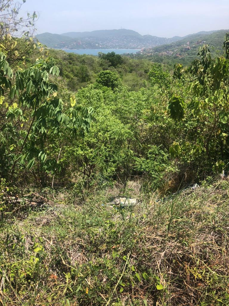 Adquiere este excelente terreno de 527.49 M2, ubicado a un costado de la CARRETERA ESCÉNICA PLAYA LA ROPA, Zihuatanejo, Guerrero, México: ESPECTACULAR PANORÁMICA CON VISTA AL MAR, ¡¡¡PROYECTO DE URBANIZACIÓN EN AVANCE!!!
____________________
Acquire this excellent land lot of 527.49 M2, located next to the PLAYA LA ROPA SCENIC ROAD, Zihuatanejo, Guerrero, Mexico: SPECTACULAR PANORAMIC WITH SEA VIEW, URBANIZATION PROJECT IN PROGRESS!!!