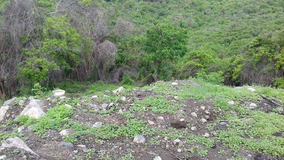 Adquiere éste excelente terreno de 550 MT2, ubicado a un costado de la CARRETERA ESCÉNICA PLAYA LA ROPA, Zihuatanejo, Guerrero, México: PROYECTO DE URBANIZACIÓN EN AVANCE!!!
LOTE 8T, MANZANA 2, ZONA 5
MEDIDAS: 40.26 X 8.27 X 39.20 X 17.20 X 2.37
CON TITULO DE PROPIEDAD, PAGOS DE CATASTRO ACTUALIZADOS.
____________________
Acquire this excellent land lot of 658 M2, located next to the PLAYA LA ROPA SCENIC ROAD, Zihuatanejo, Guerrero, Mexico: SPECTACULAR URBANIZATION PROJECT IN PROGRESS !!!
MEASUREMENTS: 40.26 X 8.27 X 39.20 X 17.20 X 2.37
WITH TITLE OF PROPERTY, UPDATED RIGHTS PAYMENTS.