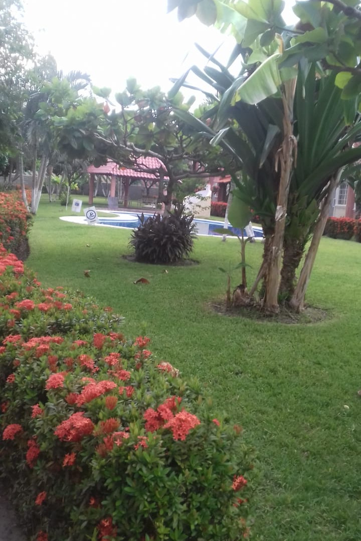 Planta Baja: Estacionamiento para un Automóvil, Sala-Comedor, Cocina, Patio de Servicio, Medio Baño
Planta Alta: Tres Recámaras, Dos con Aire Acondicionado y Baño Completo. Áreas Comunes: Alberca y Jardines. Loseta y Protecciones.
____________________
Ground Floor: Parking for a Car, Living-Dining Room, Kitchen, Service Patio, Half Bath
Upstairs: Three Bedrooms, Two with Air Conditioning and Full Bathroom. Common Areas: Pool and Gardens. Tile and Protections.