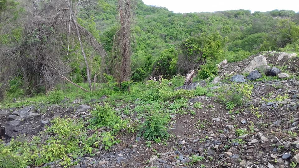 Adquiere éste excelente terreno de 550 MT2, ubicado a un costado de la CARRETERA ESCÉNICA PLAYA LA ROPA, Zihuatanejo, Guerrero, México: PROYECTO DE URBANIZACIÓN EN AVANCE!!!
LOTE 8T, MANZANA 2, ZONA 5
MEDIDAS: 40.26 X 8.27 X 39.20 X 17.20 X 2.37
CON TITULO DE PROPIEDAD, PAGOS DE CATASTRO ACTUALIZADOS.
____________________
Acquire this excellent land lot of 658 M2, located next to the PLAYA LA ROPA SCENIC ROAD, Zihuatanejo, Guerrero, Mexico: SPECTACULAR URBANIZATION PROJECT IN PROGRESS !!!
MEASUREMENTS: 40.26 X 8.27 X 39.20 X 17.20 X 2.37
WITH TITLE OF PROPERTY, UPDATED RIGHTS PAYMENTS.