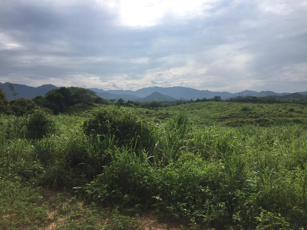 TERRENOS CON EXCELENTE UBICACIÓN A SOLO 5 MINUTOS CAMINO A PLAYA LARGA!!!
LOTES DE 200 M2:
LOTE #8 LOTE #9
PRECIO: $350,000.00 MXN PRECIO: $300,000.00 MXN
- SE ENTREGA CON POZO DE AGUA - LUZ BIFÁSICA
LOTE #10 LOTE #11
PRECIO: $300,000.00 MXN PRECIO: $300,000.00 MXN
- LUZ BIFÁSICA - LUZ BIFÁSICA
GRAN OPORTUNIDAD PARA INVERTIR Y CREAR TU PATRIMONIO!!!
TRATO SERIO
____________________
LAND WITH EXCELLENT LOCATION ONLY 5 MINUTES ROAD TO PLAYA LARGA!!!
LAND LOTS OF 200 M2:
LOT # 8 LOT # 9
PRICE: $ 350,000.00 MXN PRICE: $ 300,000.00 MXN
- DELIVERED WITH WATER WELL - Biphasic light
LOT # 10 LOT # 11
PRICE: $ 300,000.00 MXN PRICE: $ 300,000.00 MXN
- Biphasic light - Biphasic light
GREAT OPPORTUNITY TO INVEST AND CREATE YOUR HERITAGE!!!
SERIOUS TREATMENT