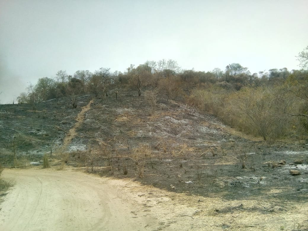 Terreno de 8 hectáreas ubicado en colonia el Riscalillo aproximadamente a 500 mts de Playa Riscalillo…
¡¡¡Excelente para desarrollo turístico, sólo para inversionistas!!!
_____________________
Land of 8 hectares located in colonia el riscalillo approximately 500 mts from playa riscalillo…
Excellent for tourism development, only for investors!