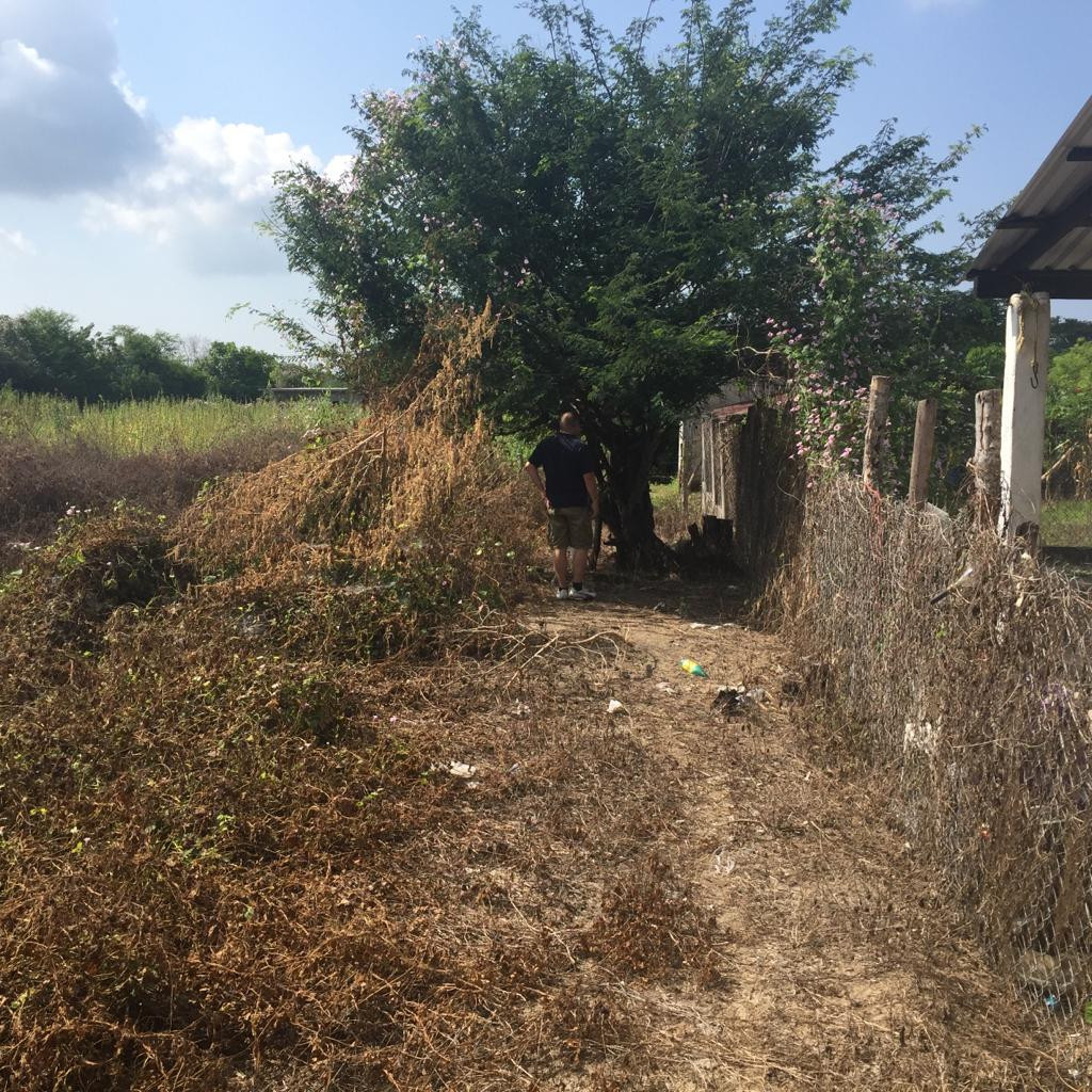 Terreno Ubicado en la comunidad de Los Achotes en el estado de Guerrero.
- TERRENO DE 34 M X 37 M (1,258 M2)
- A 15 minutos de Playa Barra de Potosí
- A 20 minutos de Zihuatanejo, Gro.
- A 25 minutos de Ixtapa, Gro.
- Acceso a todos los Servicios Públicos.
____________________
Land Lot Located in the community of Los Achotes in the state of Guerrero.
- LAND OF 34 M X 37 M (1,258 M2)
- 15 minutes from Barra de Potosí Beach
- 20 minutes from Zihuatanejo, Gro.
- 25 minutes from Ixtapa, Gro.
- Access to all Public Services.
